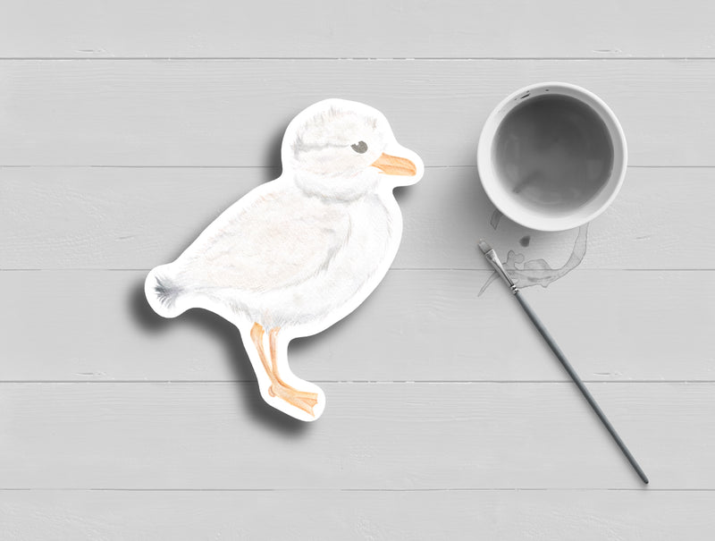 Piping Plover Watercolor Sticker